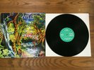 The Apples In Stereo Fun Trick Noisemaker 1995 Orig. U.S. SpinART Pressing