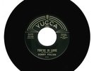 Bobby Fuller 1962 Yucca 45rpm You're In Love b/w Guess We'll Fall In Love NM