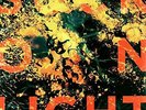 Boy & Bear - Suck on Light - ID23w - vinyl LP VINYL - New