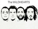 Wildhearts - Wildhearts 2LP white vinyl 2007