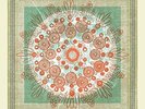 TRAMPLED BY TURTLES-LIFE IS GOOD ON THE OPEN ROAD (US IMPORT) VINYL LP NEW