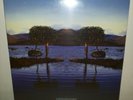 BRUCE DICKINSON - SKUNKWORKS - 2 LP