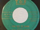 Soul Blues R&B Rocker 45 Guitar Crusher I've Got To Know on T&S HEAR
