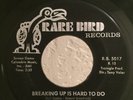 Sweet Soul 45 Earl Lewis and The Channels Breaking Up.. on Rare Bird HEAR