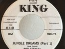Soul Exotica R&B Tittyshaker 45 Roy Estrada Jungle Dreams on King HEAR ZAPPA