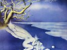 |1845194| Locanda Delle Fate (La) - Forse Le Lucciole Non Si Amano Piu' [Vinyle]