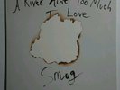 Smog - A River Ain't Too Much To Love? LP Mint- DC292 2005 w/Poster Vinyl Record