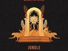 BACK TO MINE - JUNGLE NEW SEALED LTD CLEAR VINYL 2LP IN STOCK
