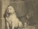 Pavlovs Dog Pampered Menial CBS Vinyl LP