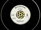 RCA 447-0605 Elvis Presley Heartbreak Hotel 45 white label promo & pic sleeve