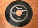 The Beatles ? She Loves You / I'll Get You ? RARE Swan Monarch 45 Vinyl Single