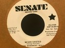 garage psych fuzz 45 THE BASEMENT WALL Never Existed . SENATE listen