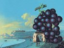 MOBY GRAPE  - WOW - EXCELLENT