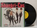 THE SHANGRI-LAS Self-Titled Leader of the Pack LP **in SHRINK** RB 20-101