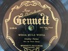 Gennett 6120 Chubby Parker WHOA MULE WHOA  78 rpm Country 1927 V++/V+