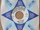 MILL EVANS Tryin To Find A Home *WHEN I'M READY* New Orleans Soul 45 TOU-SEA 128