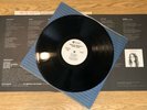 TERRY REID SEED OF MEMORY LP ABC USA  WHITE PROMO COPY W/ Station Comments
