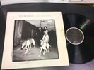 NM Van Morrison “Days Like This“ Uk Pressing Original LP Polydor