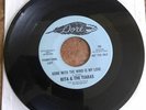Gone With The Wind Is My Love/Wild Times (Instrumental)