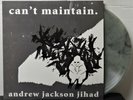 Andrew Jackson Jihad - Can't Maintain - Asian Man 2009 - Clear Grey Swirl - NM