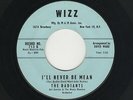 '58 White DooWop/Teen RADIANTS I'll Never Be Mean/Ra Cha Cha WIZZ 713 VG+ HEAR