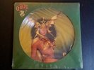 CHER TAKE ME HOME PICTURE DISC  CASABLANCA NBPX 7133 SEALED 1979.