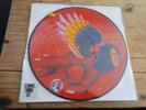 David Bowie - The Man Who Sold The World - MINT RSD PICTURE DISC Vinyl LP