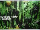 The PROMISE RING Wood/Water signed 24