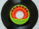 Lenny Williams   I couldn't find nobody   Fantasy 