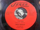 Sweet Breeze-You Did / How Can I Forget Jeree 92776 EX (Soul Ballad)