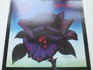 THIN LIZZY 'BLACK ROSE' UK ORIG 1st PRESS '79 IMMACULATE ARCHIVE COPY