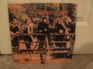 Steeleye Span ?– Hark  The Village Wait - 1970 Folk Rock Vinyl Record - UK