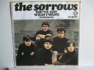 THE SORROWS-you've got what I want,Piccadilly 1965,UK,WITH PICTURE,MINT-/MINT-
