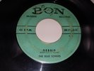 THE BLUE ECHOES Debbie/ It's Witchcraft 1959 RARE ROCKABILLY 45 Bon Musique 2112