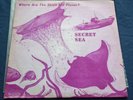 Will Jima -  The Secret Sea - Private Press LP 1977 UFOs, Conspiracy - Free S&H
