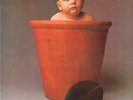 BARCLAY JAMES HARVEST Baby James Harvest LP VINYL 6 Track With A1 / B1 Matrix