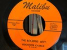 THE REASONS WHY 45 Mcqueens Garden/ Goodtime Charlie GARAGE PSYCH MALIBU - hear