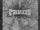 THE PAISLEYS COSMIC MIND AT PLAY 2015 SUNDAZED SUN LP 5109 REISSUE PSYCH GARAGE