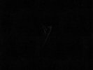 POP GROUP, The - Y: Definitive Edition - Vinyl (LP box)