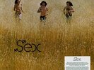 Sex - 1st S/T Debut  RARE Numbered 180 Gram Canadian Psych Garage Vinyl LP (New)