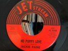 JACKIE PAINE 45 No Puppy Love TEXAS NORTHERN SOUL on JETSTREAM Jet Stream
