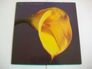 SWANS - THE BURNING WORLD - UK LP - MCG 6047, 1989 - GOTHIC ROCK - PLAYS VG+