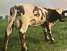 Pink Floyd ?– Atom Heart Mother 1970 Australian SQ Quadraphonic Issue Q4SHVL-781