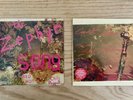 Red Hot Chilli Peppers Cant Stop And Zephyr Song 7 Inch Vinyl Singles