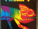 Lp Frumpy - All Will be Changed - 1st Press Krautrock Prog