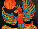 RARE BIRD – ORIGINAL 1ST LP - 1969 – CHARISMA  (CAS 1005)
