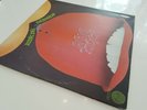 Gentle Giant ?– Acquiring The Taste STUNNING EX/VG+ 1971 UK Press Vertigo Swirl