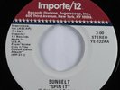 Funk Electro Disco 45 SUNBELT Spin It IMPORTE/12 VG+ HEAR