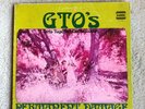 VINTAGE G T O 'S PERMANENT DAMAGE LP RECORD