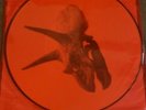Alice in chains the devil put dinosaurs here Rare 2LP Picture Disc Vinyl
